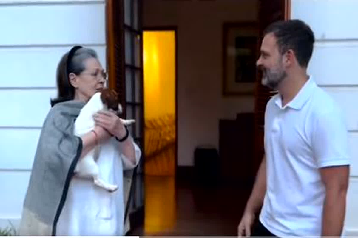 Video: गांधी परिवार में नए मेहमान की एंट्री, राहुल गांधी ने मां सोनिया को दिया ‘जानदार तोहफा’