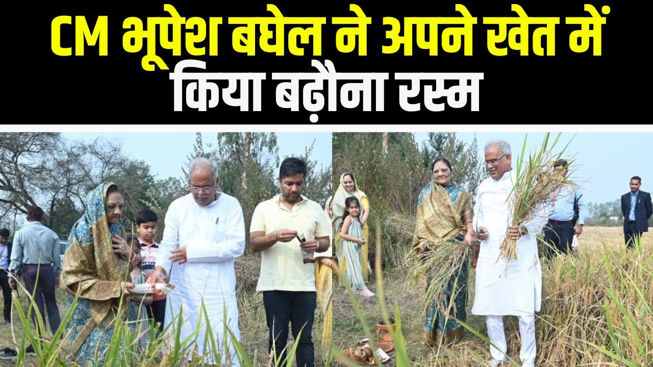 सपरिवार खेत पहुंचे CM Bhupesh Baghel | कुरुदडीह स्थित अपने खेत ने किया बढ़ौना रस्म