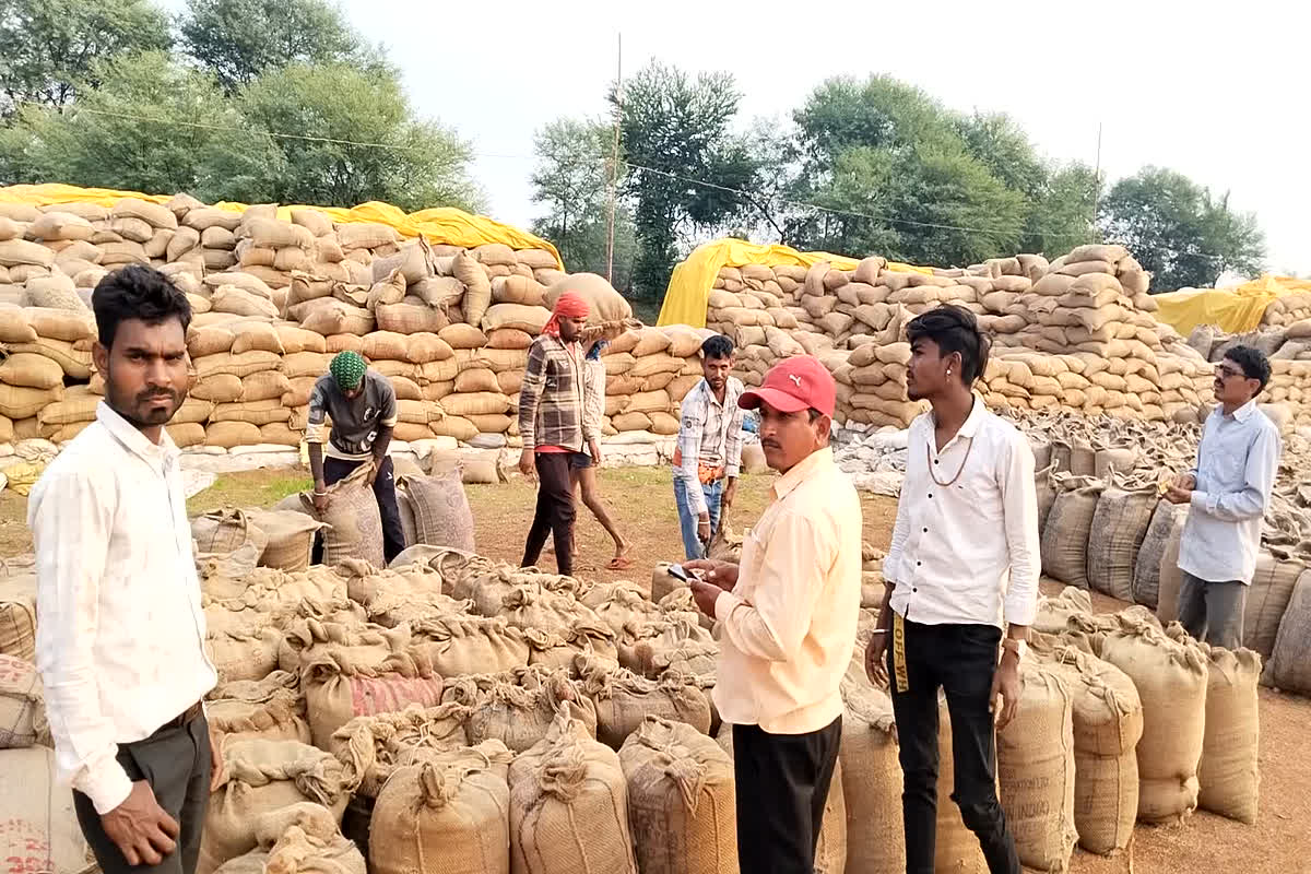 Bemetara Dhan Kharidi: मौसम खुलते ही धान केंद्रों में उमड़ी किसानी की भीड़, तेजी से शुरु हुआ धान खरीदी का काम