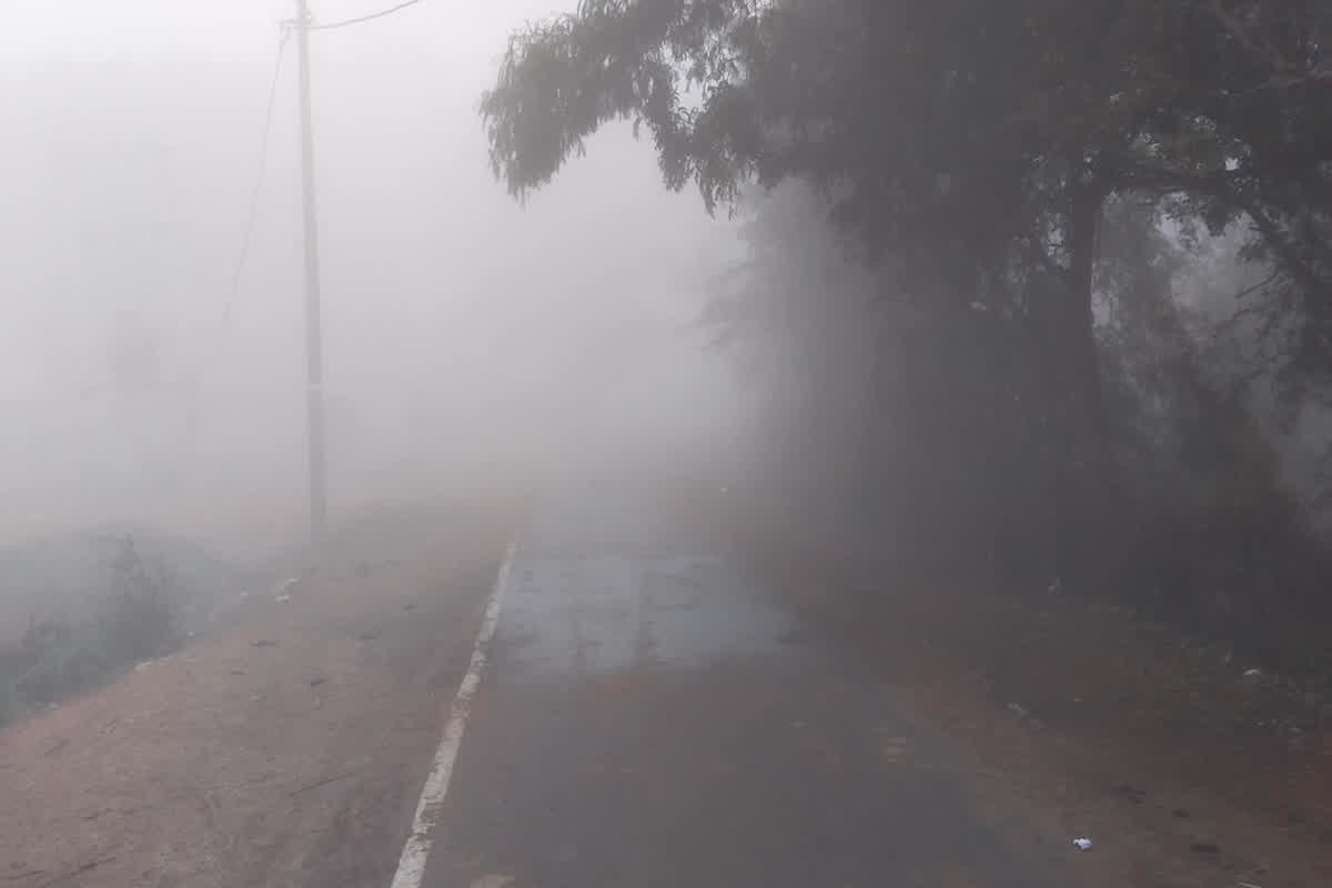 MP Weather News: प्रदेश के कई हिस्सों में छाया घना कोहरा, सर्दी से बचने अलाव का सहारा ले रहे लोग