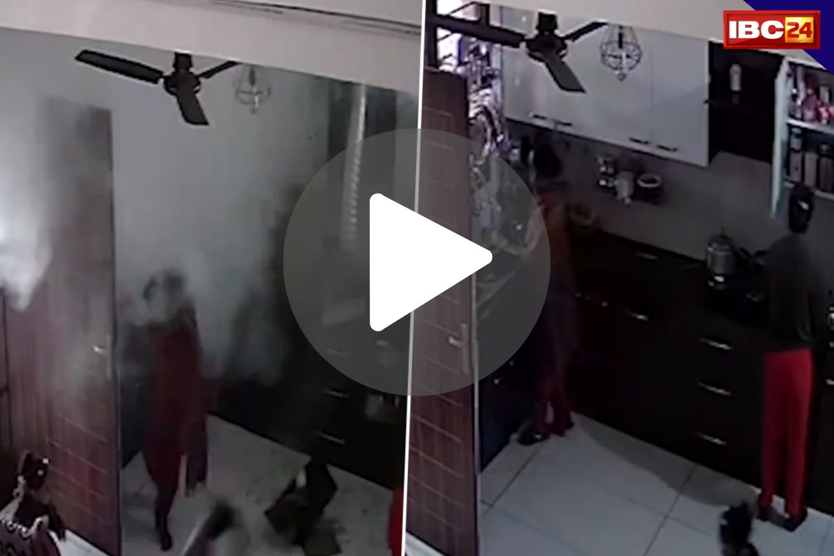 Cooker Blast Video: कुकर फटने का Live वीडियो हुआ वायरल.. देखकर रह जायेंगे दंग.. घटना CCTV कैमरे में कैद