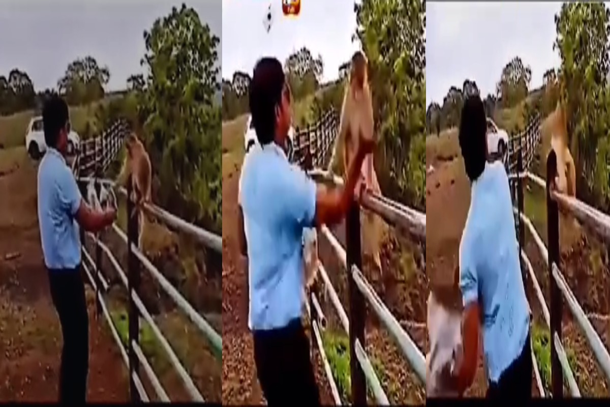 Indore Monkey Beating Video: वीडियो बनाने के लिए बंदर को दिया लालच, फिर किया ऐसा काम, अब होगी कानूनी कार्रवाई