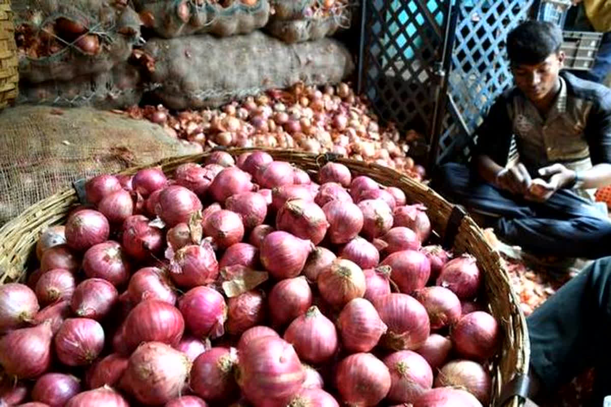Onion Price: प्याज की कीमतों में आएगी गिरावट! बफर स्टॉक के लिए सरकार खरीदेगी 5 लाख टन प्याज