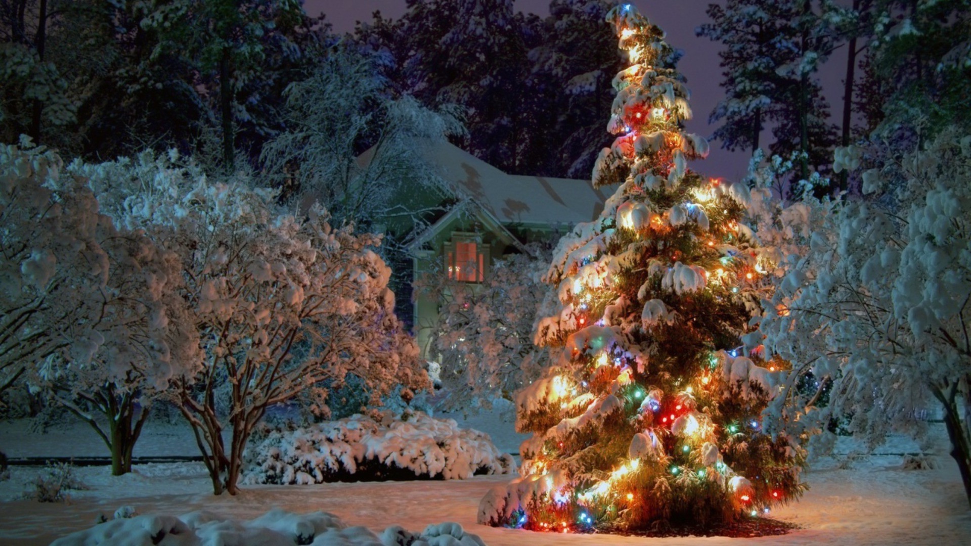 Christmas Day 2023: आखिर क्यों मनाया जाता है क्रिसमस डे? कई देशों में अलग-अलग तारीखों को मनाते है ये त्योहार