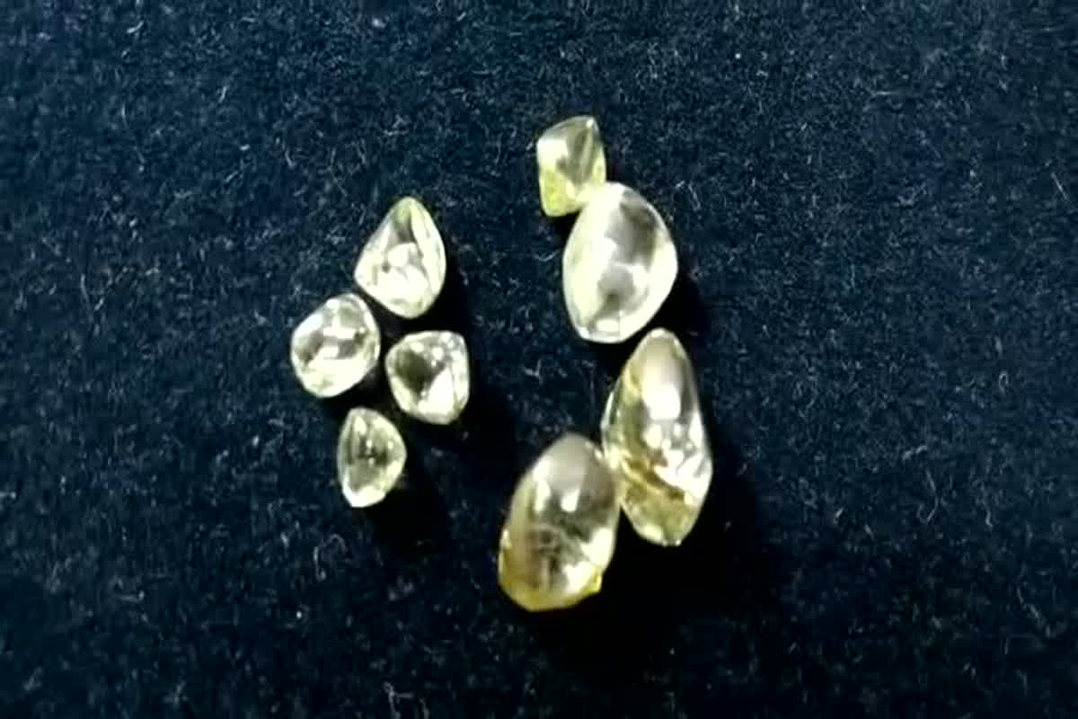 Diamond Auction In Panna: उथली हीरा खदानों से प्राप्त हीरो की इस दिन होगी नीलामी, 4 बड़े हीरे होंगे आकर्षण का केंद्र