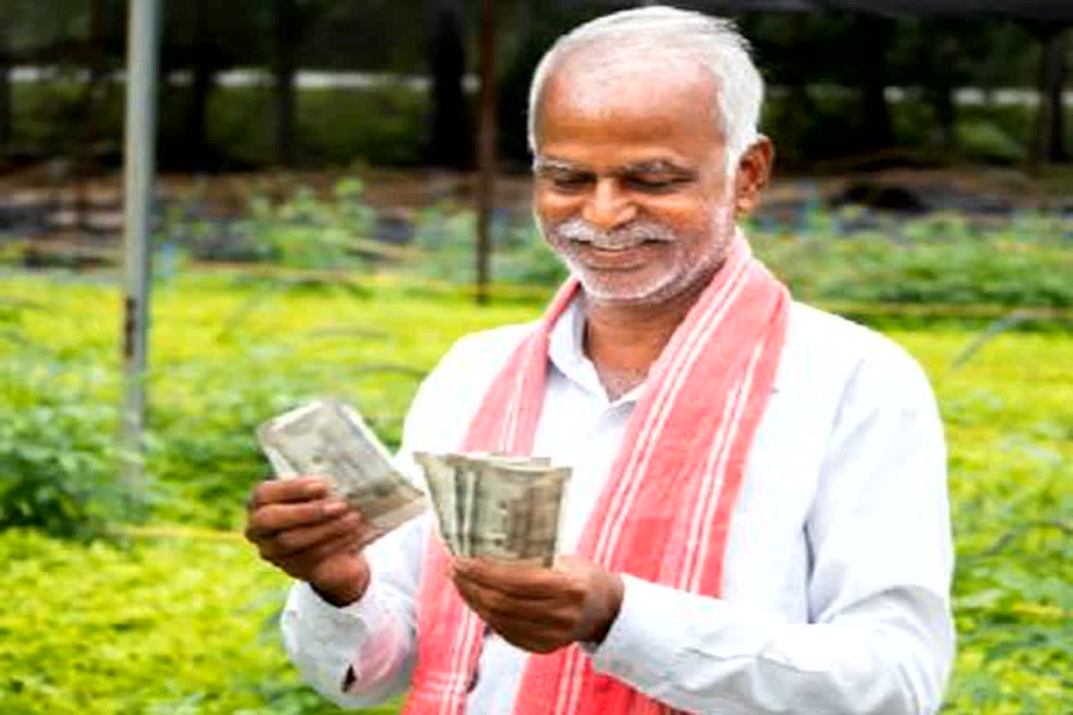 Dhan ka bonus kab tak milega: प्रदेश के किसानों को बड़ा तोहफा, इस दिन खाते में आएगी धान बोनस की राशि!