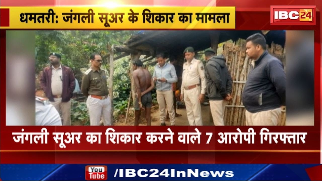 Dhamtari News : जंगली सूअर का शिकार करने वाले 7 आरोपी गिरफ्तार | केरेगांव वन परिक्षेत्र का मामला