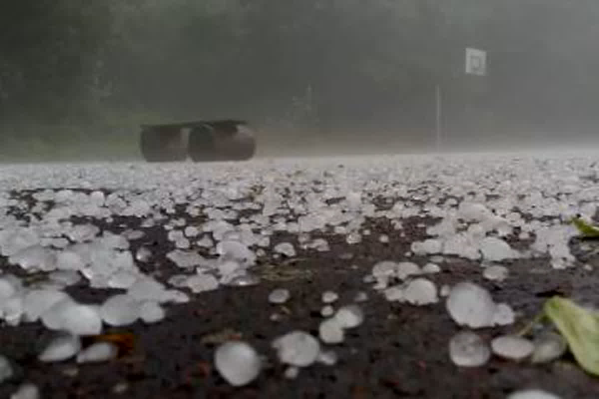 Panna Weather Update : जिले के कई गांवों में बारिश के साथ हुई ओलावृष्टि, किसानों की बढ़ी चिंता, प्रशासन ने दिए ये आदेश..