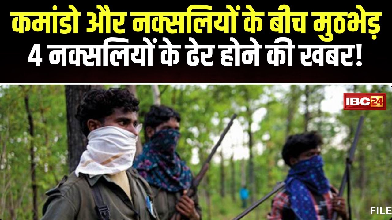 Naxal News: गढ़चिरौली में कमांडो और नक्सलियों के बीच मुठभेड़। 4 नक्सलियों के मारे जाने की खबर!
