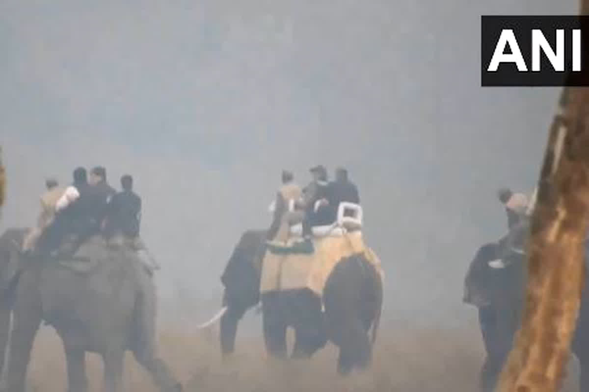 PM Modi In Kaziranga National Park: असम के काजीरंगा नेशनल पार्क पहुंचे PM मोदी, जंगल सफारी के दौरान की हाथी की सवारी, वीडियो वायरल