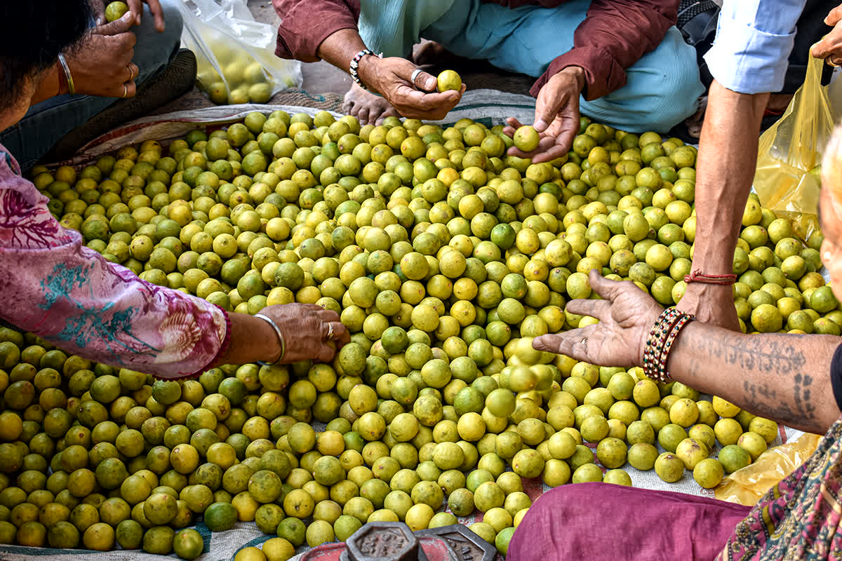 Lemon Price Hike: गर्मी शुरू होते ही बढ़े नींबू के तेवर, 250 रुपए किलो पहुंचा दाम