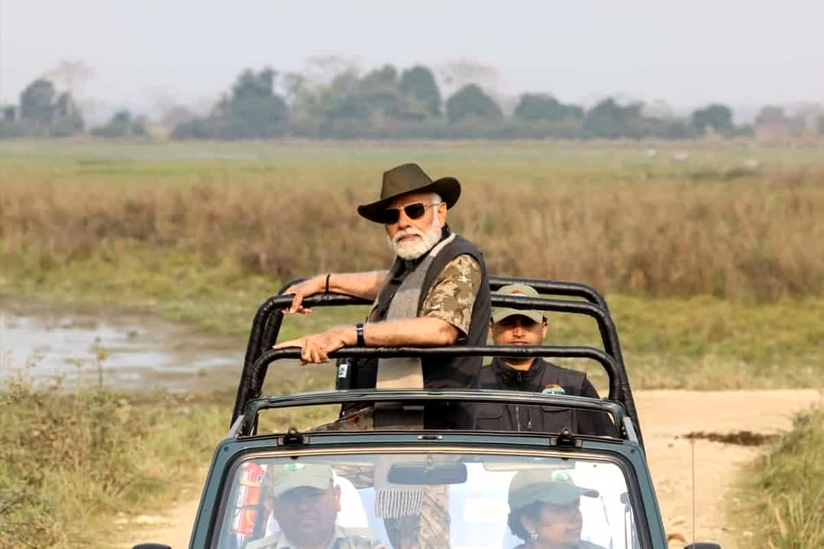 PM Modi In Kaziranga National Park: कांजीरंगा नेशनल पार्क पहुंचे PM मोदी, हाथी की सवारी कर उठाया जंगल सफारी का लुत्फ