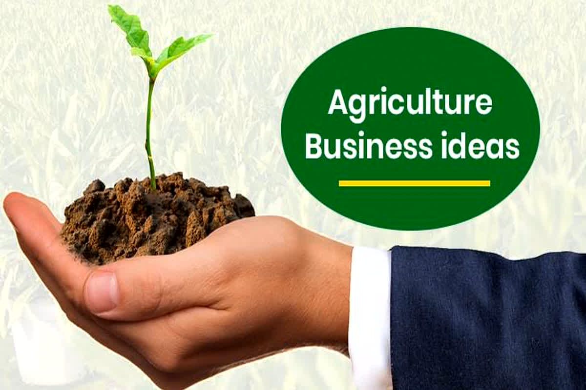 Agriculture Business Ideas: 1 एकड़ जमीन से होगी लाखों की कमाई, खर्च करने होंगे मात्र इतने रुपए, जानें तरीका…