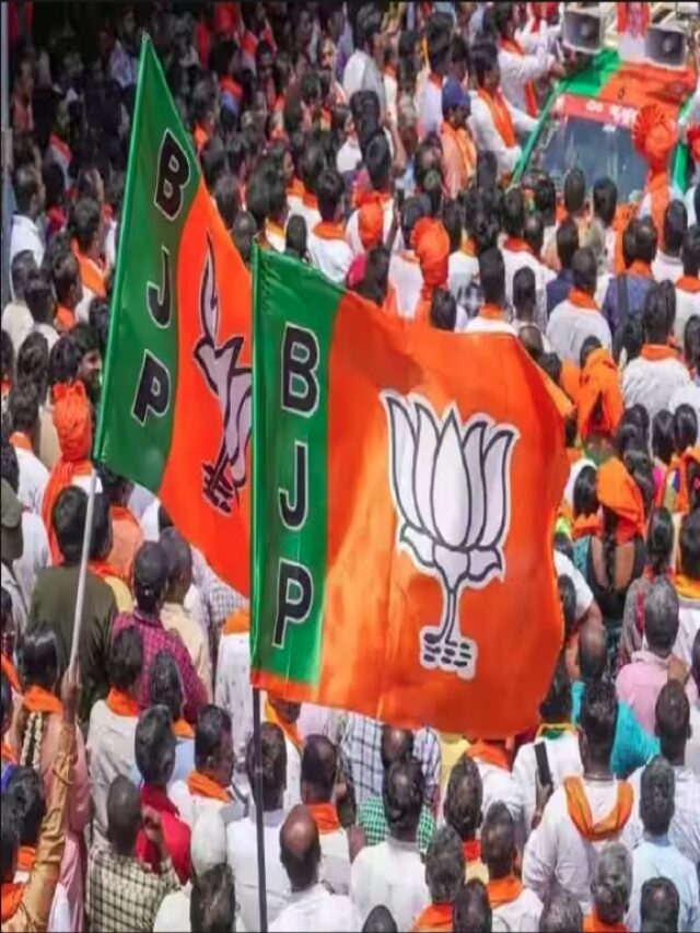 Lok Sabha Election 2024 : भाजपा ने जारी की लोकसभा प्रत्याशीयों की 12वीं सूची, इन उम्मीदवारों के नाम पर लगी मुहर