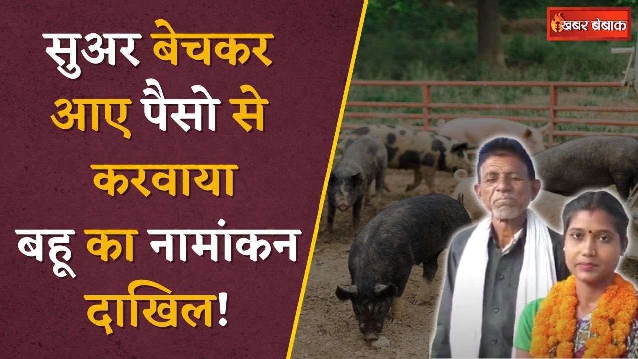 एक ऐसा परिवार जो सुअर बेचकर लड़ता हैं चुनाव, कैसे करेंगे BJP और Congress जैसी पार्टी का सामना?