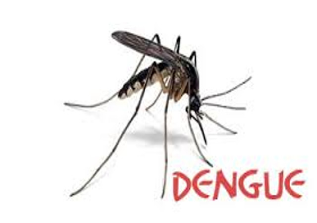 ग्वालियर-चंबल संभाग में डेंगू के मरीजों की संख्या बढ़ी, 100 के पार हुई संख्या