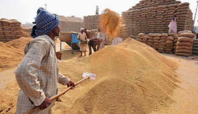 गेहूं और चावल को छोड़कर बाकी फसलों की खरीदी समर्थन मूल्य पर नहीं होगी