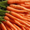 गाजर सिर्फ सलाद ही नहीं,औषधि के रूप में भी इस्तेमाल कर सकते हैं आप