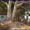 मंदिर के पास धमाका, उपचार के दौरान एक बालक की मौत, 4 घायल