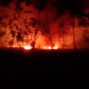 एक और आग की बड़ी घटना, करीब 50 किसानों की फसल जलकर खाक