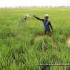 प्रदेश सरकार का बड़ा फैसला, कर्जमाफी योजना से बाहर होंगे 5 लाख किसान