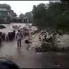 मानवता को शर्मसार करने वाला कारनामा, 5 दर्जन गायों को जिंदा उफनती नदी में धकेला, कई गायों की मौत