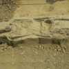 ‘महाभारत काल की खोज’ को मिली बड़ी सफलता, भारतीय पुरातत्व सर्वेक्षण को खोदाई में मिले 3800 साल पुराने अवशेष