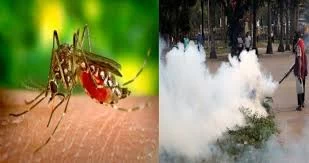 सुकमा में कोरोना के बीच डेंगू का प्रकोप, पीड़ित 7 जवानों को जगदलपुर किया गया शिफ्ट