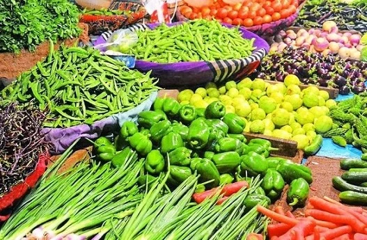 प्रदेश में तय होंगे सब्जियों के दाम, अनाज की तरह सब्जियां खरीदने की तैयारी कर रही राज्य सरकार
