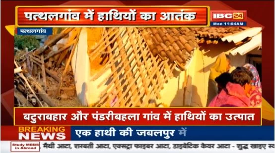 हाथियों का आतंक: 6 घरों को किया तबाह, दो किसानों को कुचला, 10 से ज्यादा गांव वाले कर रहे रतजगा