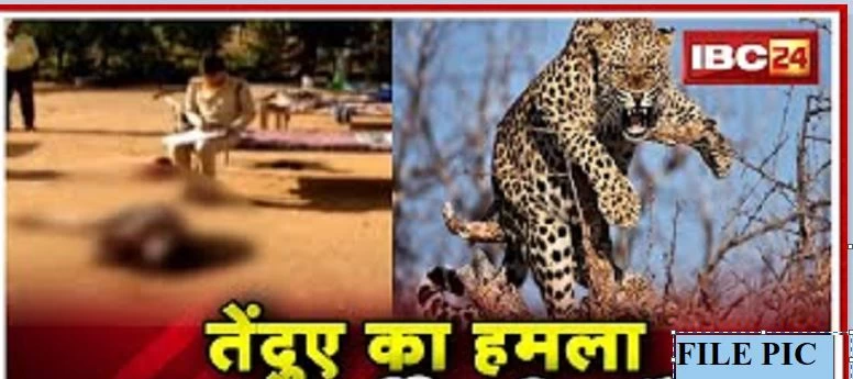 लकड़ी बीनने गई नाबालिग पर तेंदुए ने किया हमला, मौके पर मौत, ग्रामीणों में दहशत