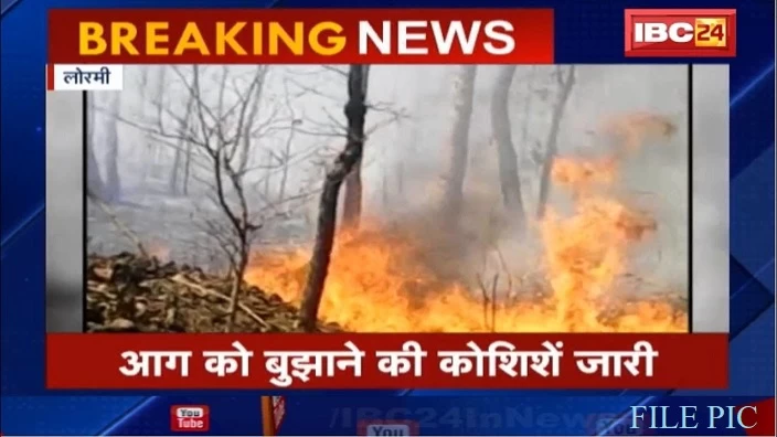 लोरमी : भारतपुर और परसवारा के जंगल में  लगी आग, इधर गेहूं के खेत में लगी आग