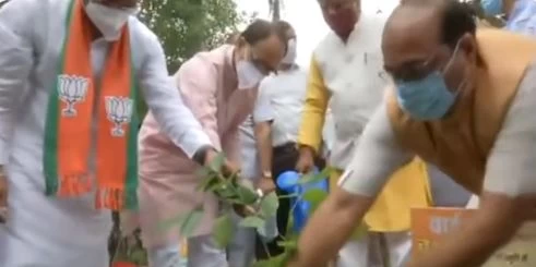 समिधा पार्क में CM शिवराज सिंह ने किया वृक्षारोपण, कहा- जनसंघ के बीज से आज बीजेपी विशाल वृक्ष बना..